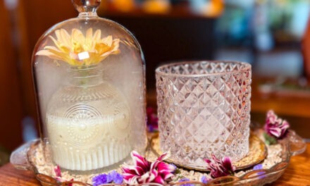 Innovative Cocktails and A Very Creative Food Menu – Mezcal & Sal Restaurant