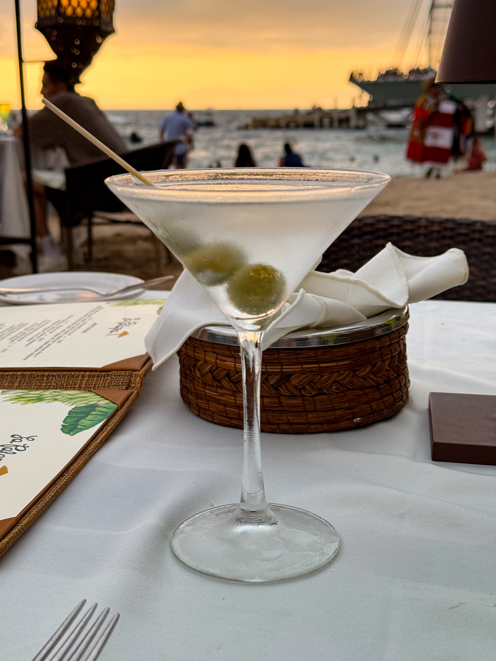 Martini La Palapa Puerto Vallarta