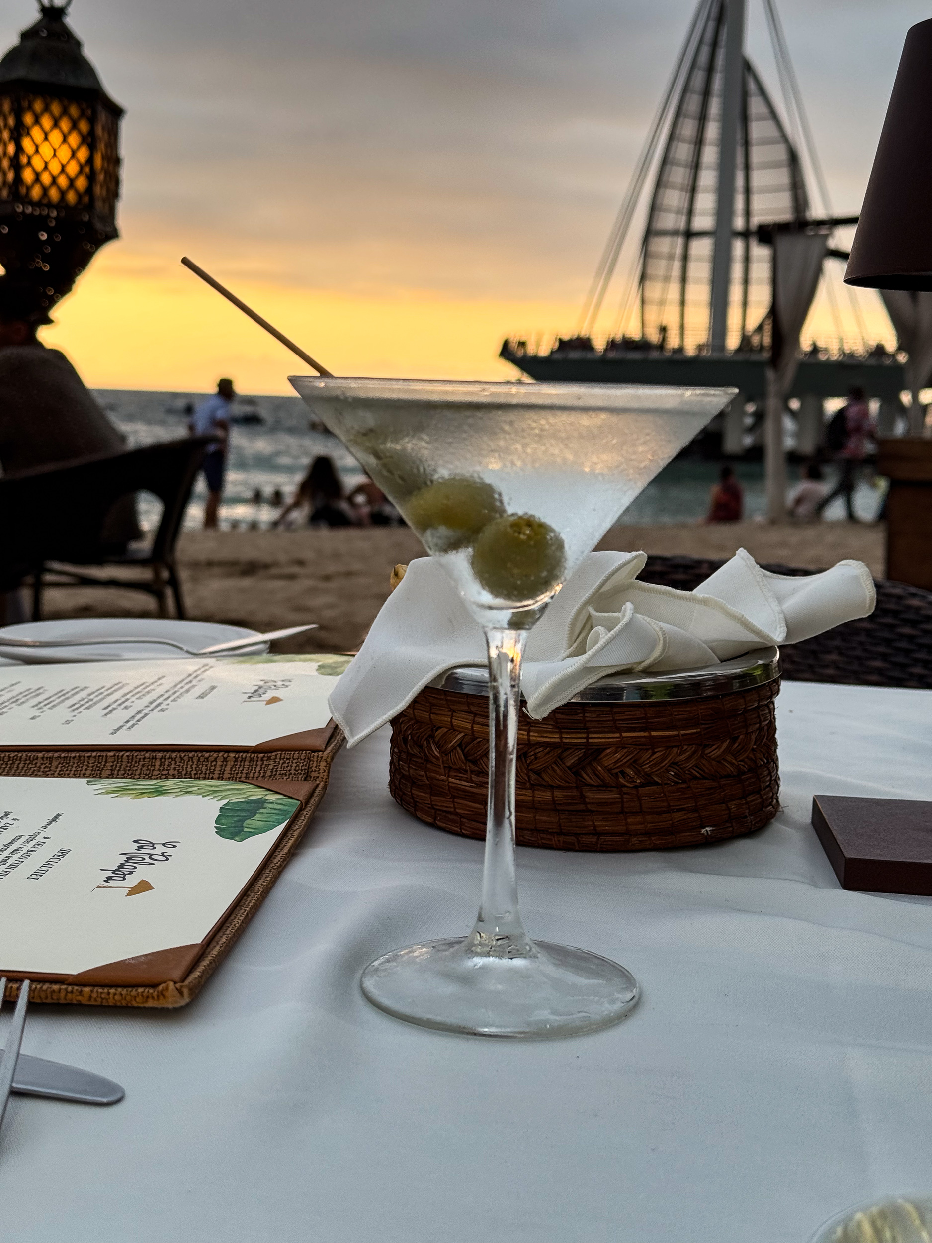 Martini La Palapa Puerto Vallarta