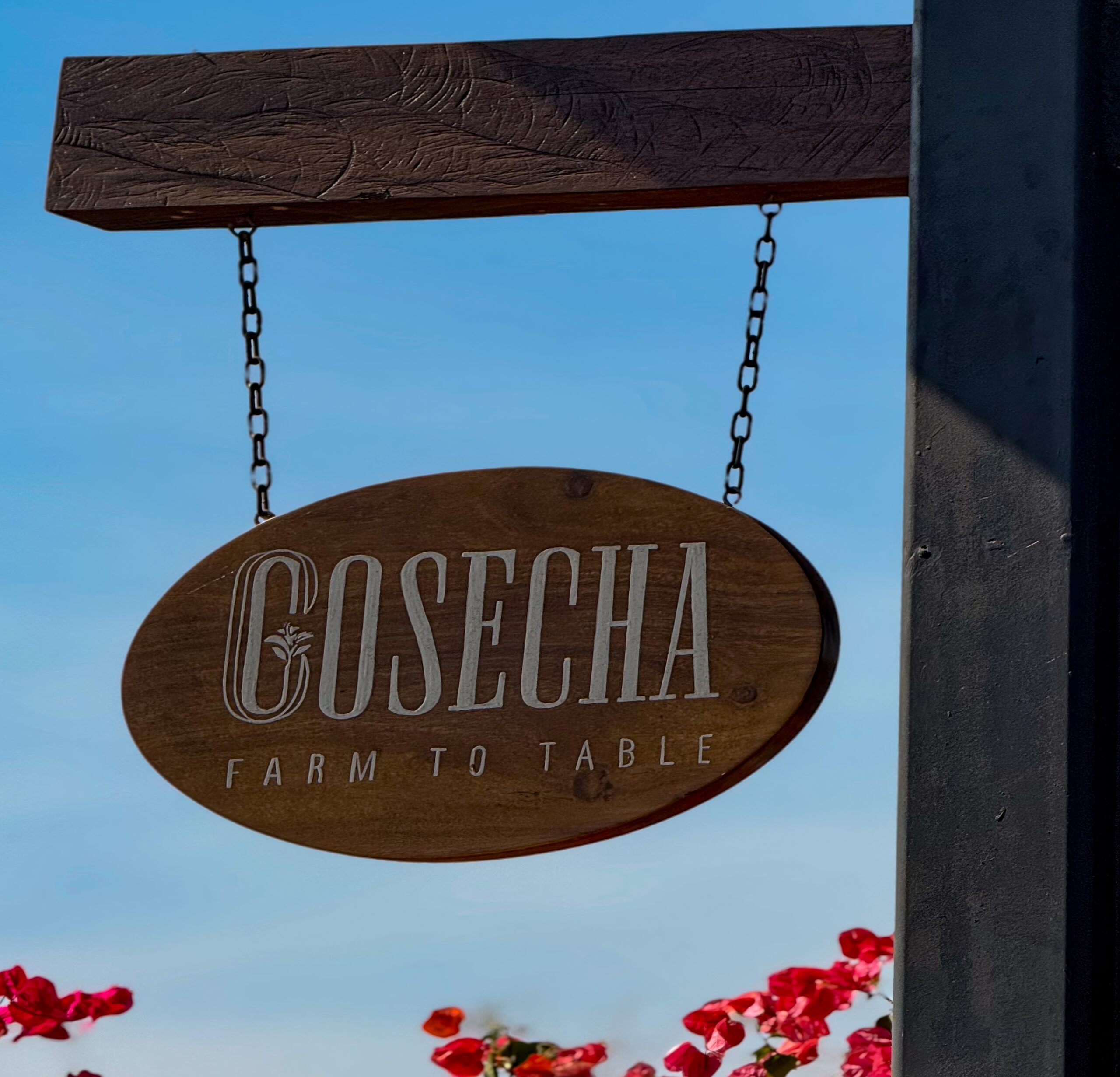 Cosecha Farm to Table 