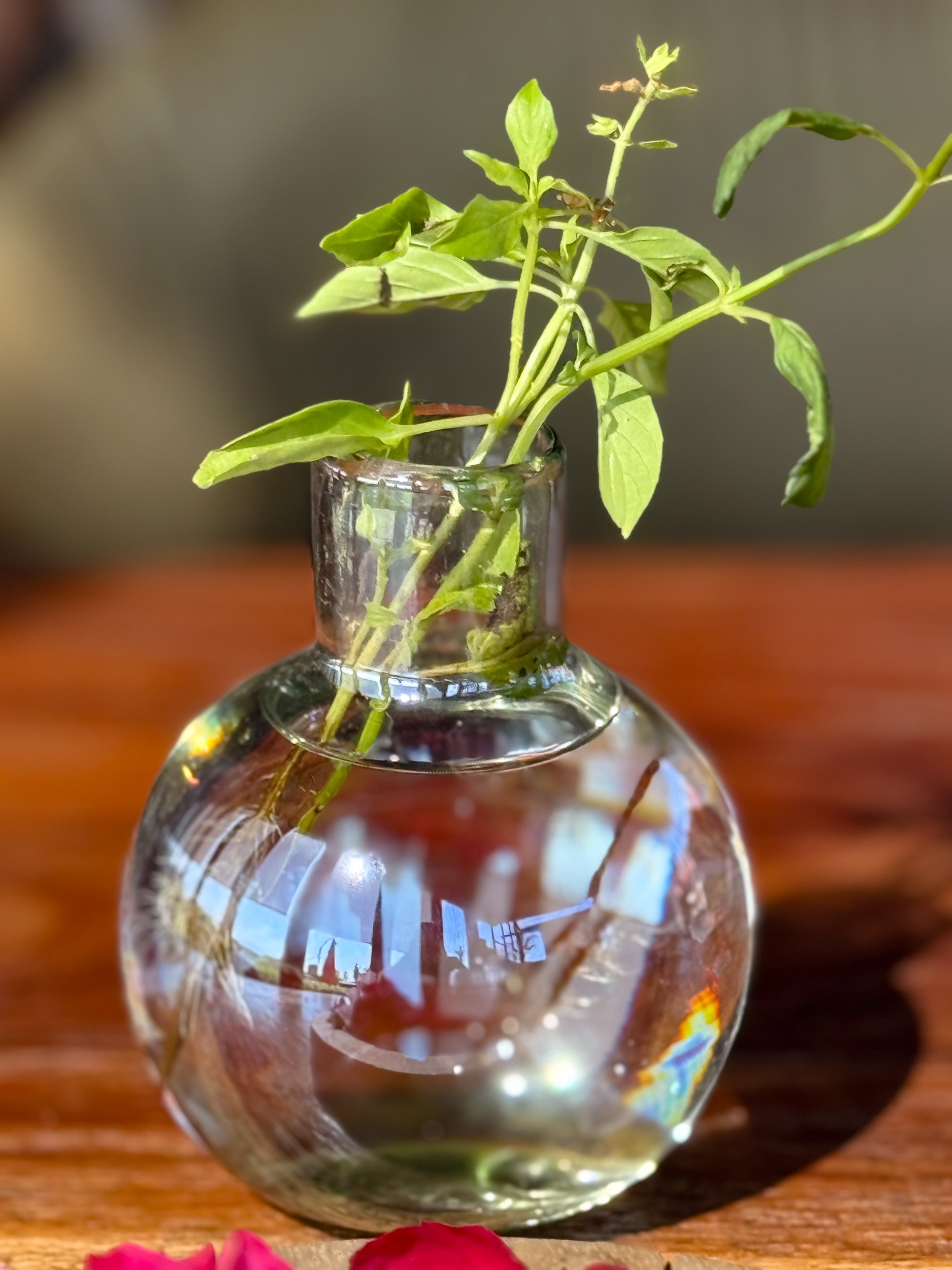 Cosecha Farm to Table PV