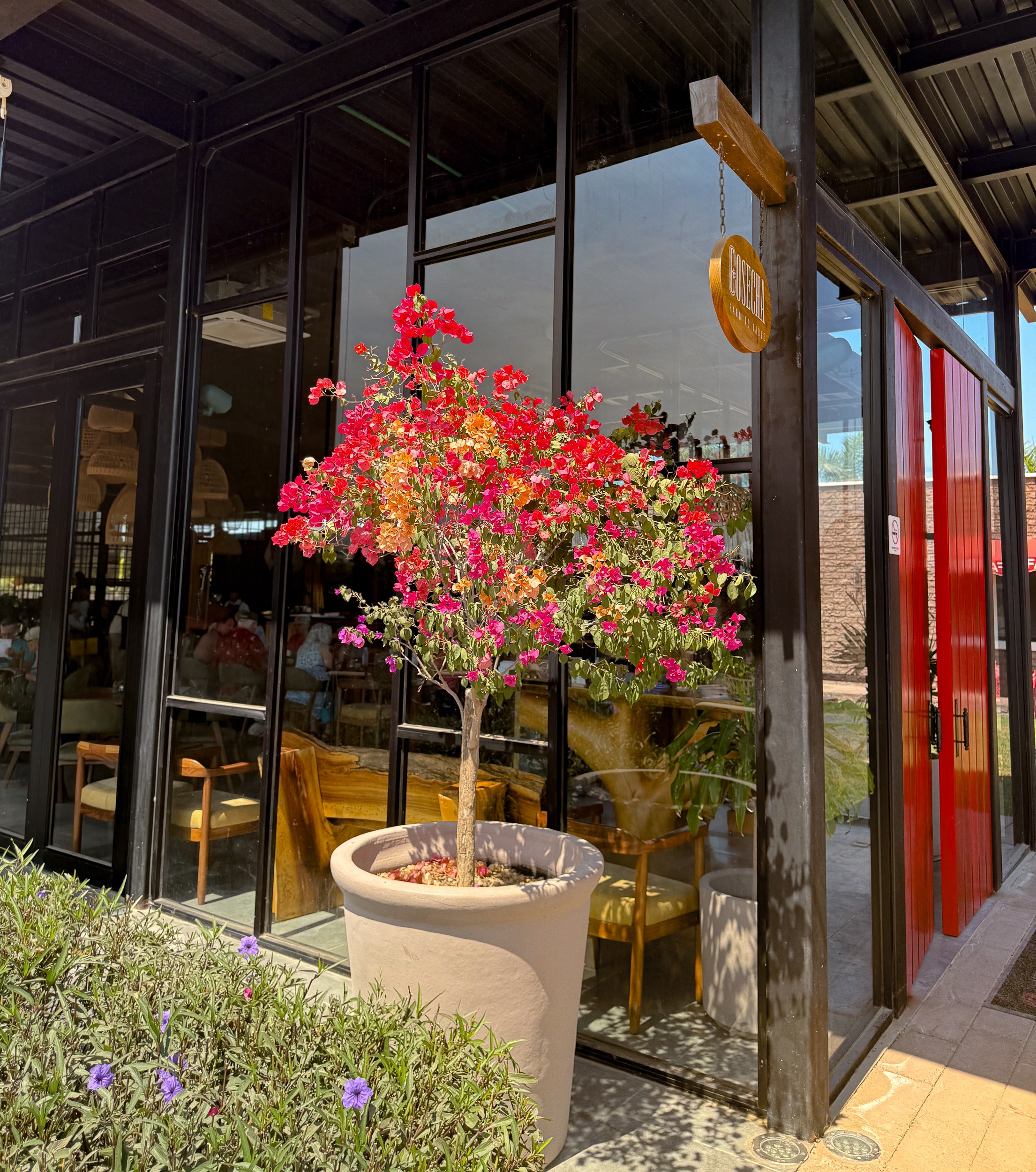 Cosecha Farm to Table Restaurant Mezcales 