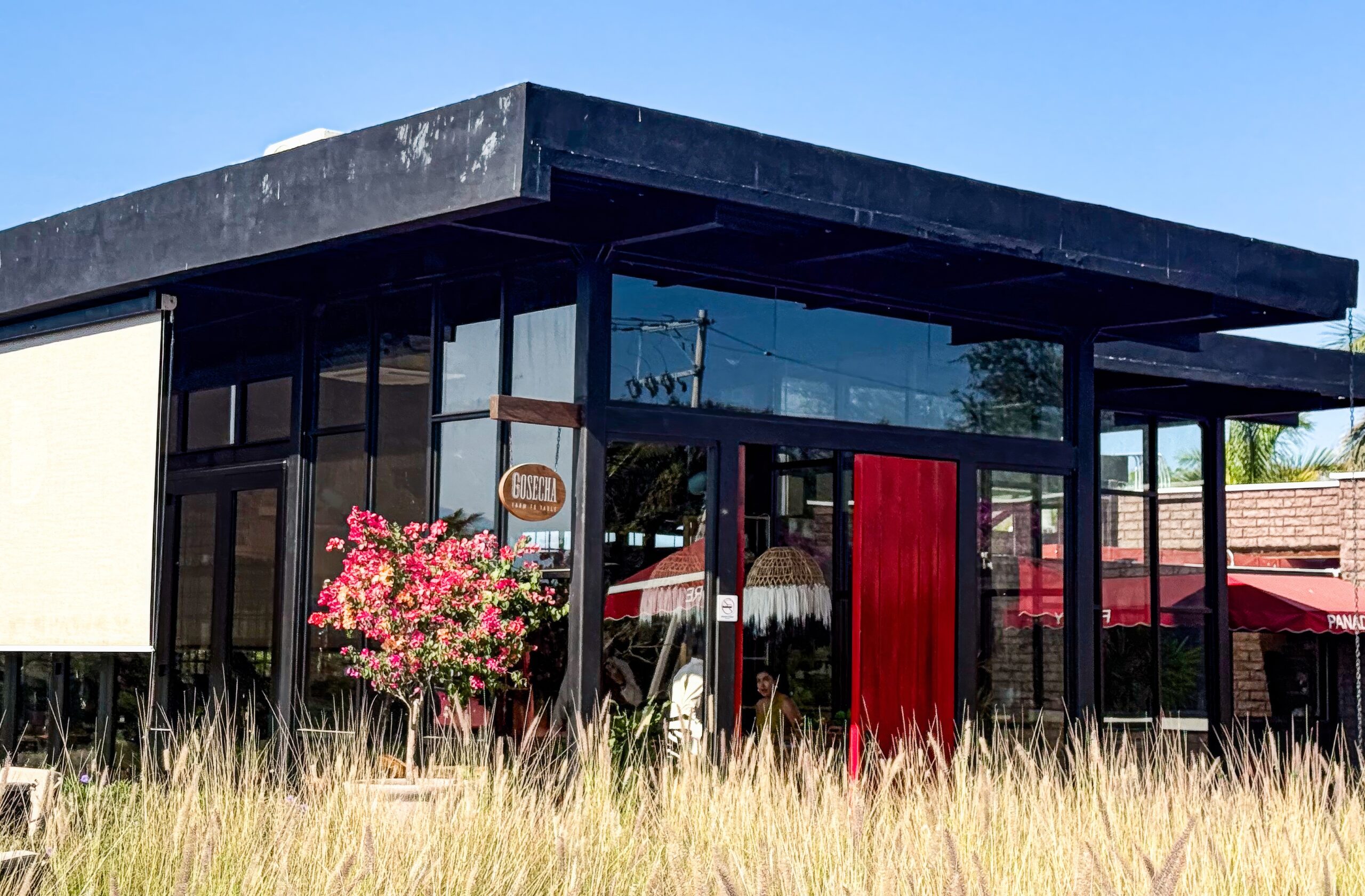 Cosecha Farm to Table 