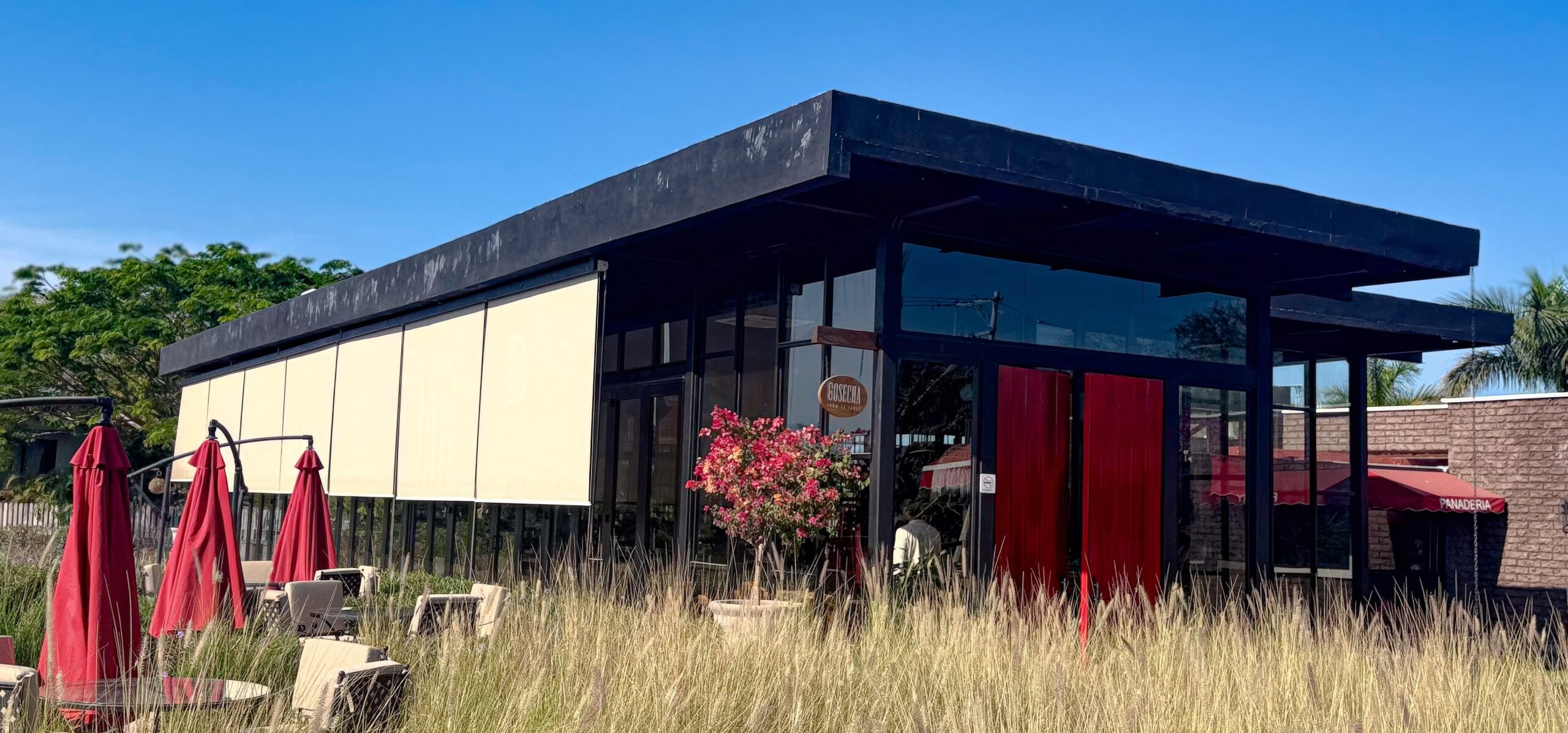 Cosecha Farm to Table 